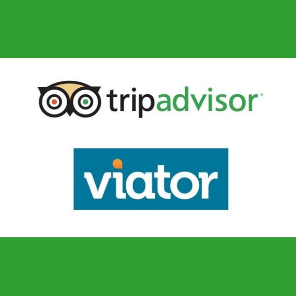 TripAdvisor Viator